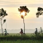 three person riding bikes on green grass field