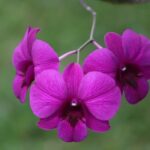 mufid-majnun-fGtuOXFiHis-unsplash